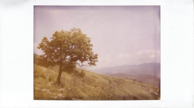 The Hills - Polaroid 500 film in Joycam: Genova