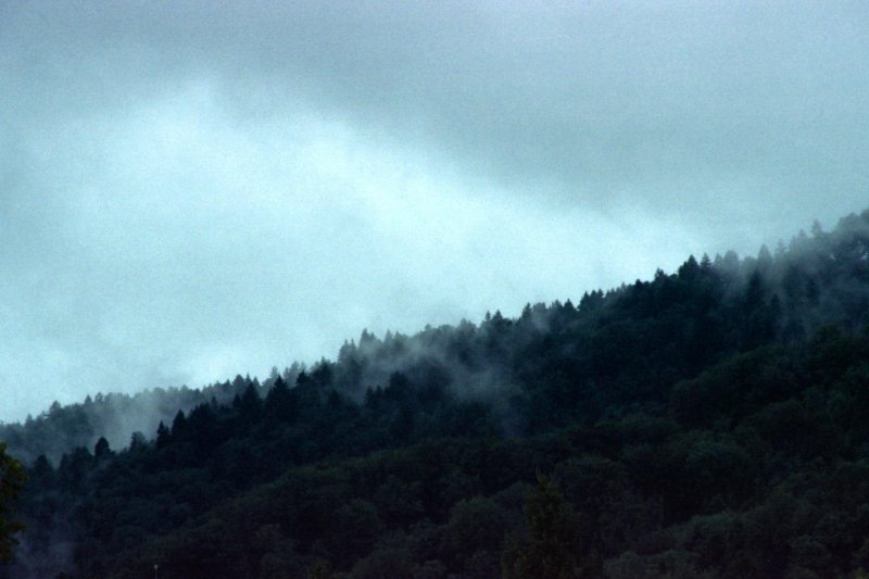 misty hill
