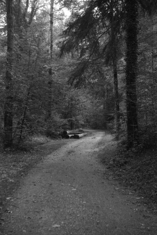 Am Üetliberg