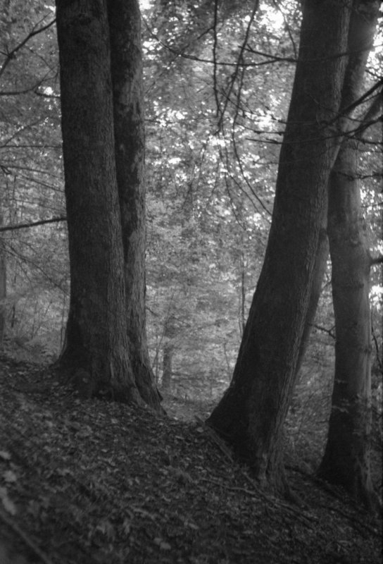 Am Üetliberg