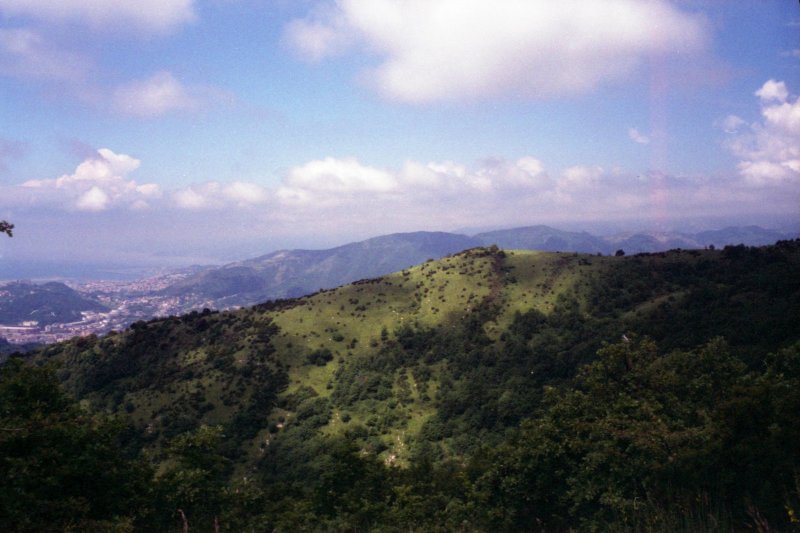 The Hills, Genova